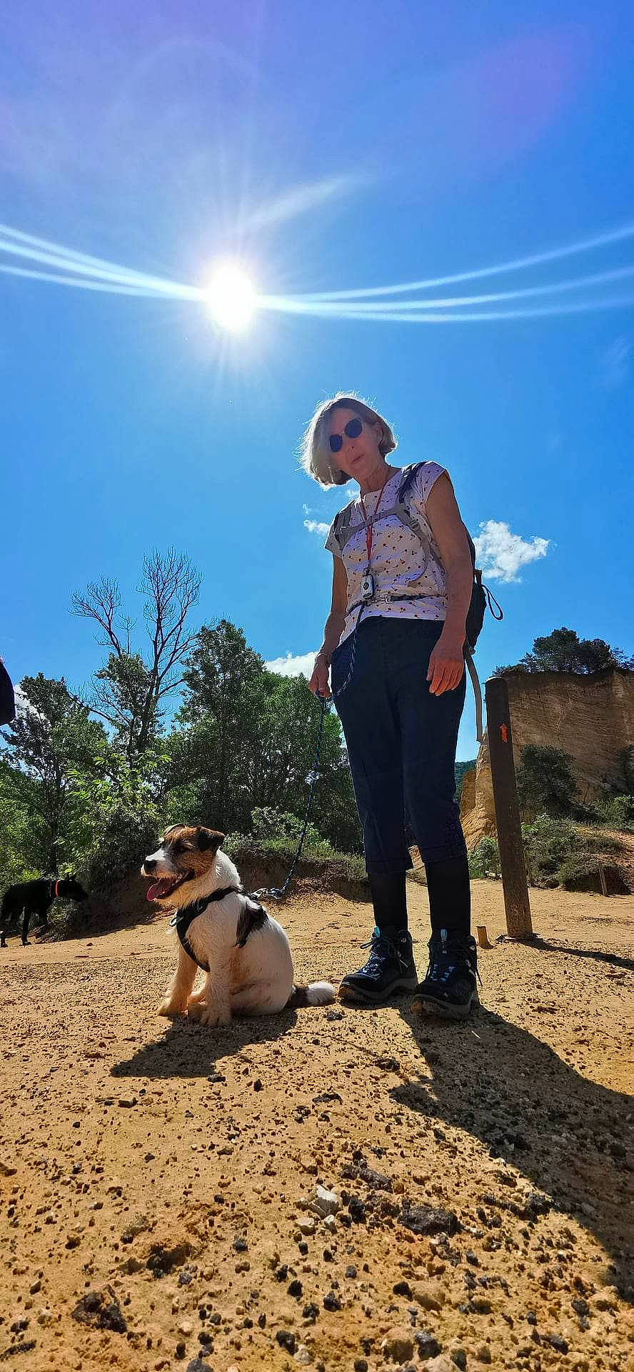 Tango participe au concours pour gagner de l'argent avec cette photo : carnivore, cloud, companion_dog, dog, dog_breed, eyewear, fashion_accessory, fawn, fun, grass, happy, landscape, leisure, lens_flare, people_in_nature, plant, sky, soil, travel, tree