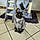 Ares