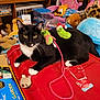 animal, black_and_white, cat, cozy, domestic, feline, indoor, pet, pickle_toy, plastic_bin, playful, plush_toy, red_container, relaxed, shelf, stuffed_animals, toys, tuxedo_cat, whiskers, yellow_box
