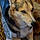 Balto