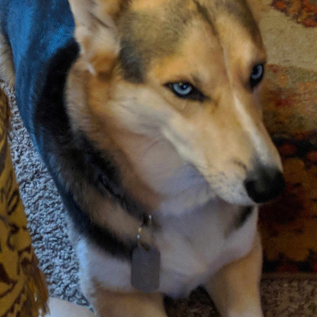 Balto