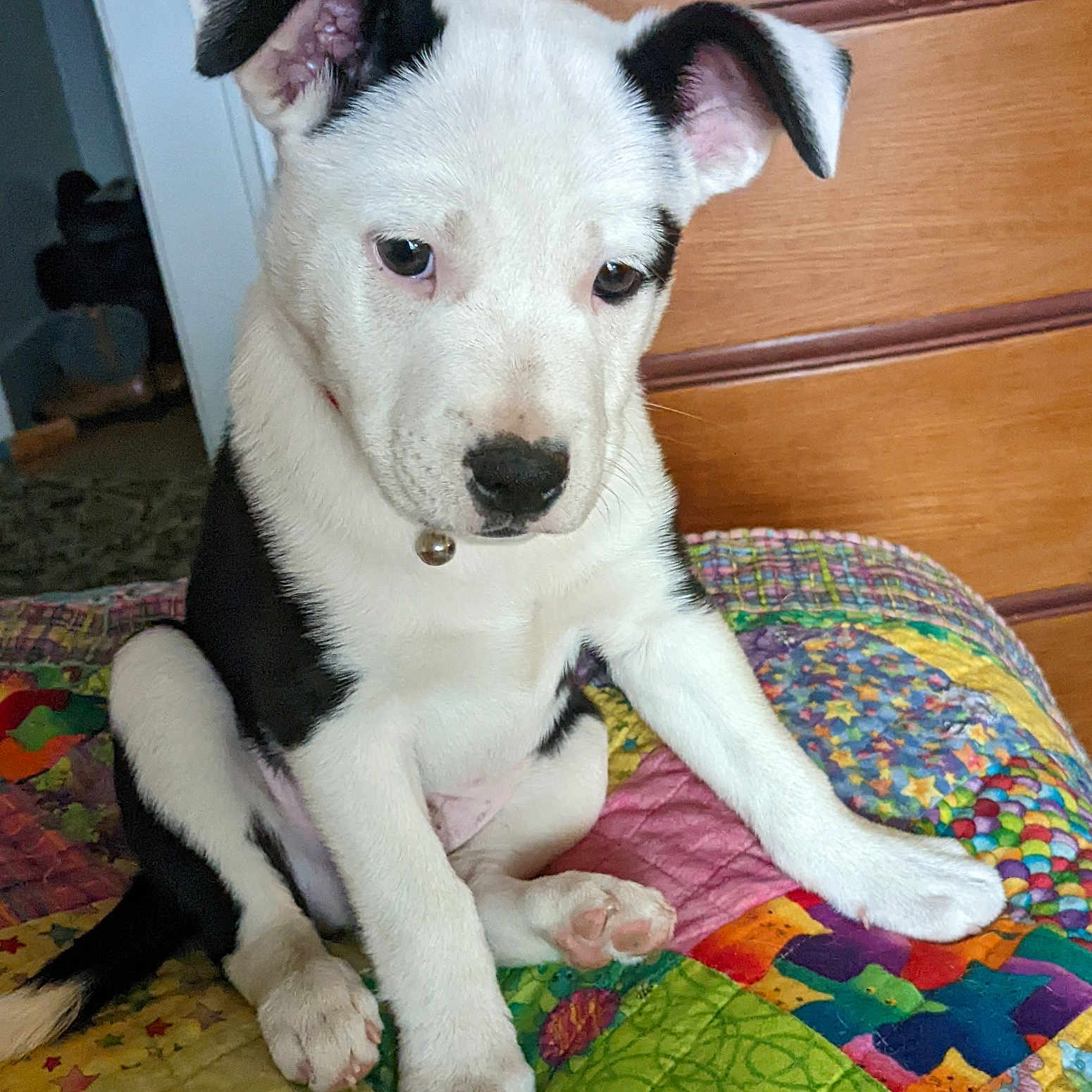Gus