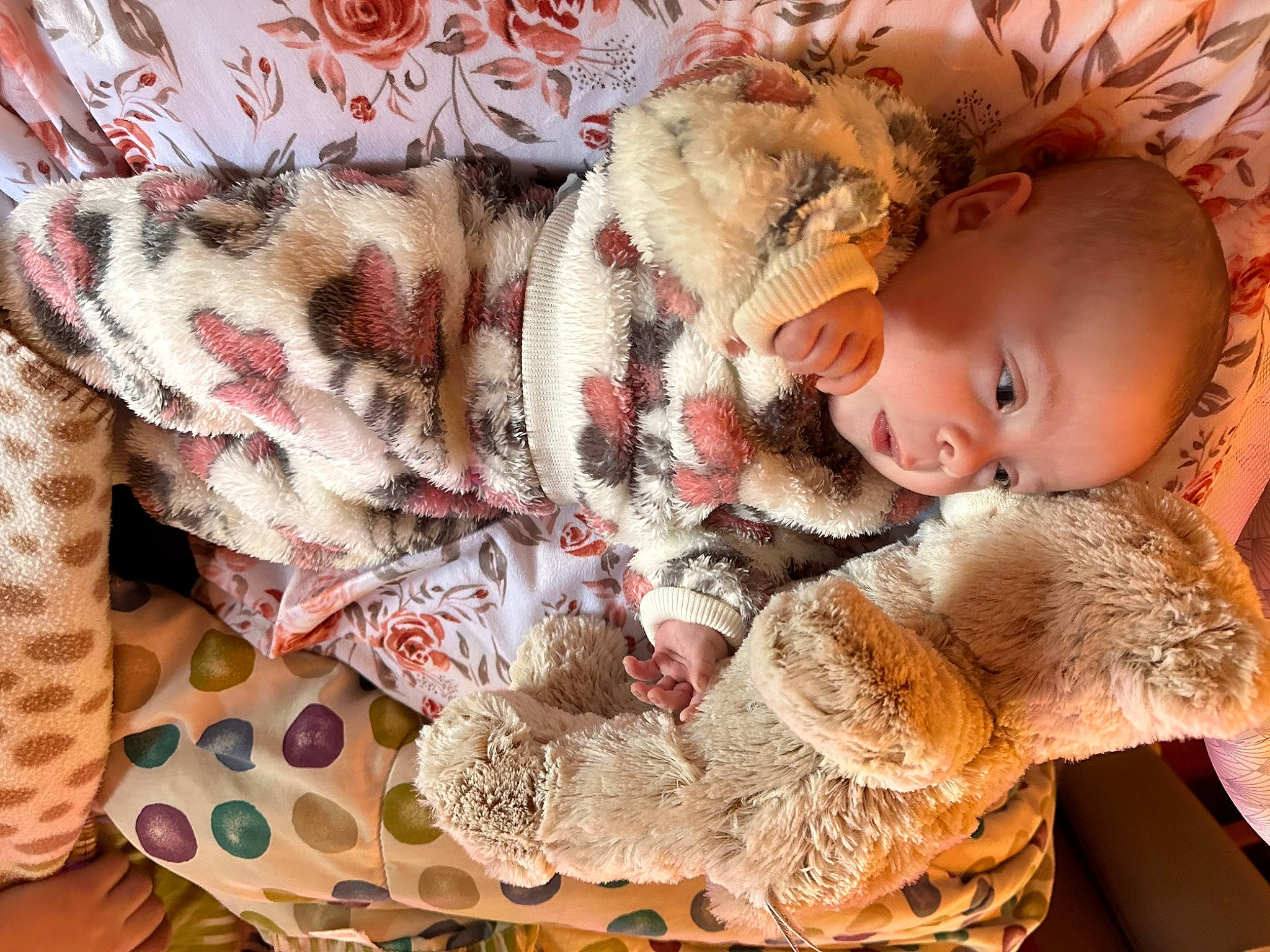 Melody is registered to the contest to win money with this photo: baby, baby_toddler_clothing, child, comfort, fawn, fur, fur_clothing, happy, headgear, linens, mammal, outerwear, pattern, person, skin, sleeve, stuffed_toy, textile, toddler, toy