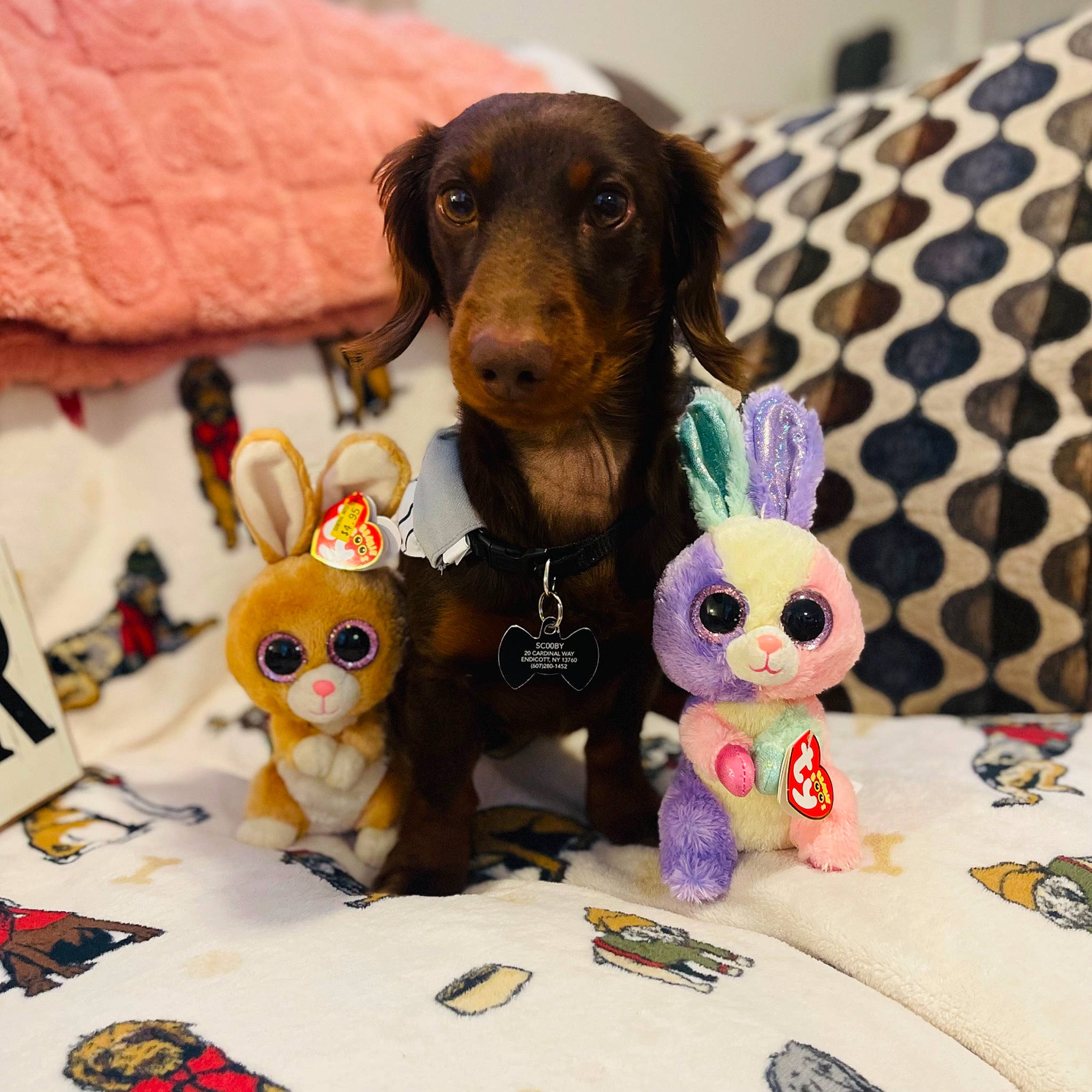 Scooby joined the competition — help win amazing prizes! art, canidae, carmine, carnivore, companion_dog, dog, dog_breed, dog_food, dog_supply, doll, fawn, liver, pet_supply, snout, souvenir, sporting_group, stuffed_toy, toy, toy_dog, working_animal