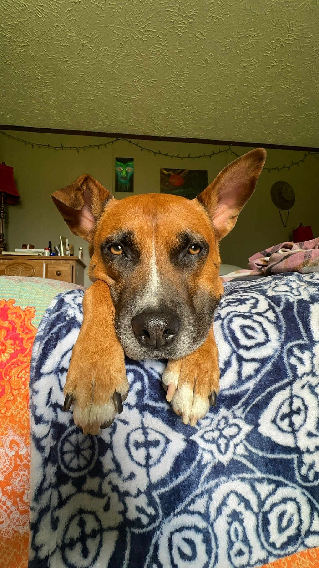 Otis