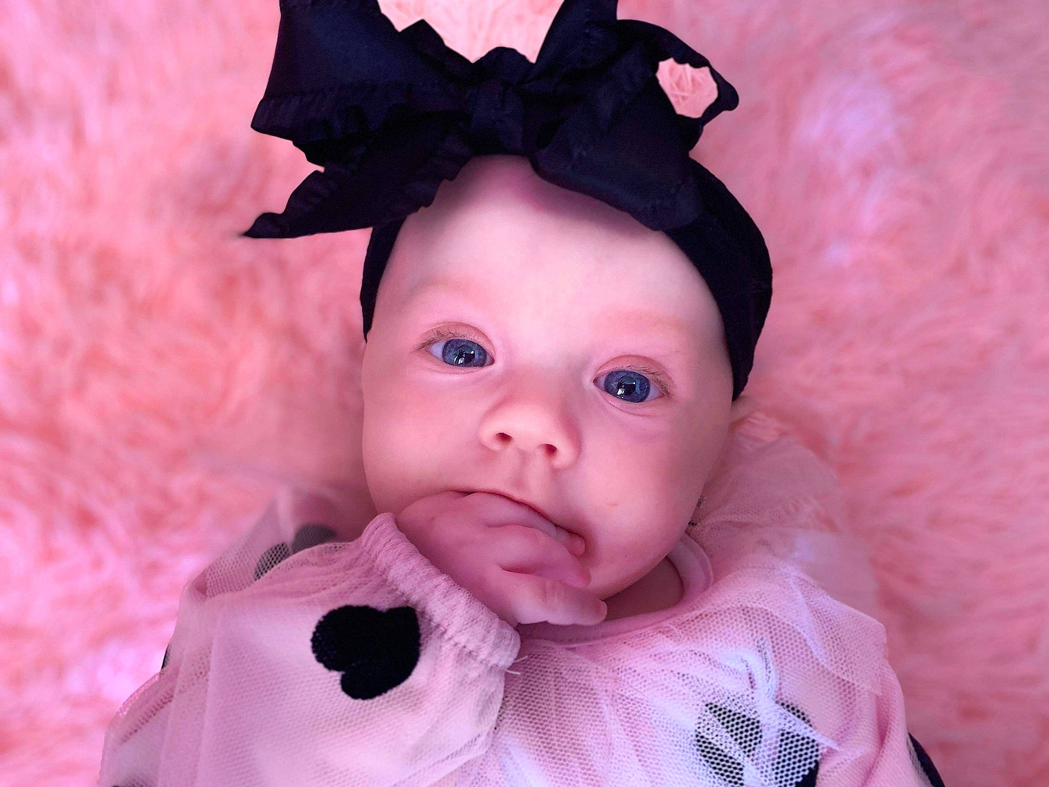 Annika is registered to the contest to win money with this photo: baby, black_hair, cheek, child, costume_accessory, ear, face, hair_accessory, head, headgear, lip, nose, person, pink, toddler