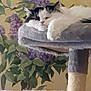 cat, cat_face, feline, pet, fluffy, black_and_white, paw, cat_tree, scratching_post, plush_bed, indoor, plant, lilac_flowers, wallpaper, sleepy, cozy, portrait, closeup, whiskers, relaxed