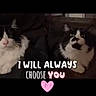 Jake joined the competition — help win amazing prizes! cat, cats, black_and_white, feline, pets, indoor, couch, fur, cute, two_animals, domestic_animal, animal_portrait, whiskers, companions, love, text_overlay, heart, sitting, close_up, affection