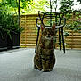 cat, tabby, outdoor, garden, chair, plant, greenery, fence, patio, calm, sitting, fur, whiskers, texture, daylight, nature, relaxed, pet, animal, background
