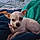 Odie