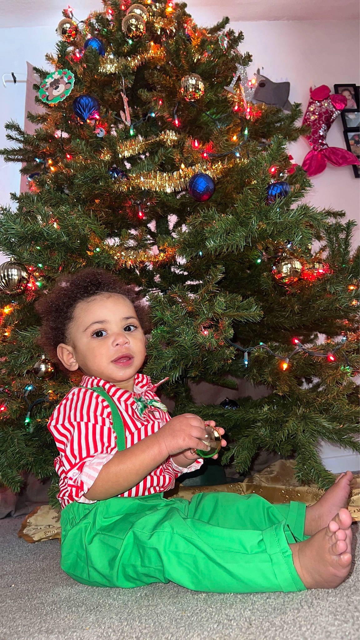 Jaivyn is registered to the contest to win money with this photo: baby_toddler_clothing, branch, christmas_decoration, christmas_ornament, christmas_tree, evergreen, green, hairstyle, happy, holiday_ornament, leaf, ornament, people_in_nature, person, photograph, plant, red, standing, tree, white