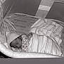 baby, bassinet, bed, blanket, child, comfort, cozy, cute, fabric, hat, infant, newborn, nursery, peaceful, portrait, rest, sleep, sleeping, soft, swaddle