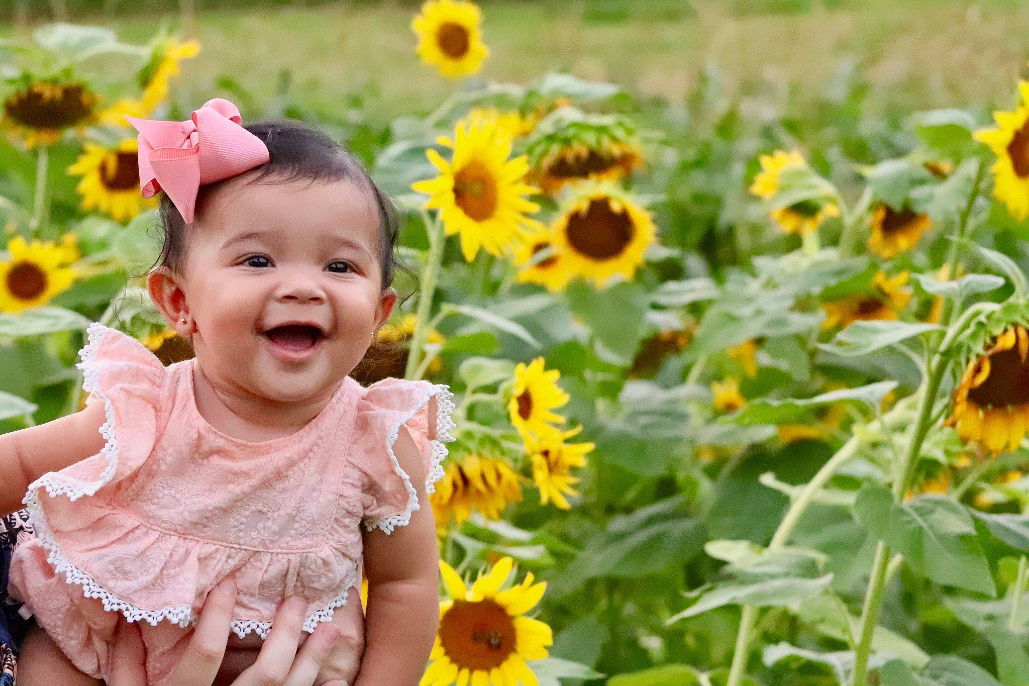 Kassia is registered to the contest to win money with this photo: baby, child, daisy_family, facial_expression, flower, fun, happy, meadow, people_in_nature, person, petal, plant, playing_with_kids, pollen, smile, summer, sunflower, toddler, wildflower, yellow
