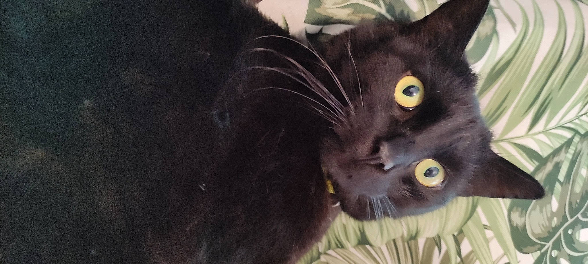 Salem