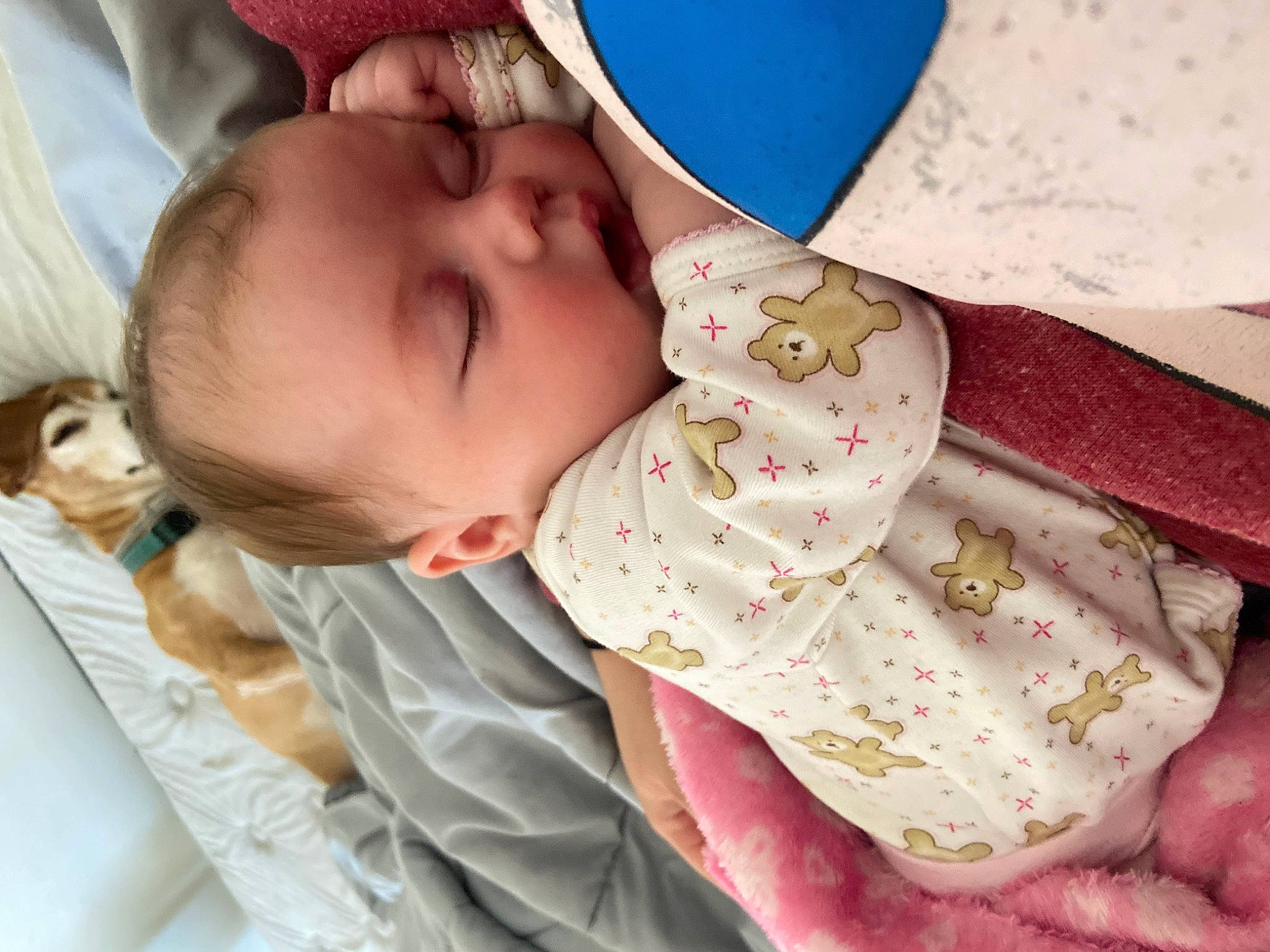 Adelynn is registered to the contest to win money with this photo: baby, baby_products, baby_safety, baby_sleeping, baby_toddler_clothing, bedtime, cap, cheek, child, comfort, fashion_accessory, happy, hat, linens, pattern, person, skin, sleeve, sun_hat, textile