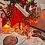 Toakai participe au concours pour gagner de l'argent avec cette photo : baby, sleeping, blanket, christmas_tree, christmas_ornaments, stockings, holiday, festive, lights, decorations, red_baubles, cozy, indoor, floor, gift_boxes, wooden_floor, couch, white_blanket, peaceful, infant
