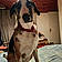 Ares
