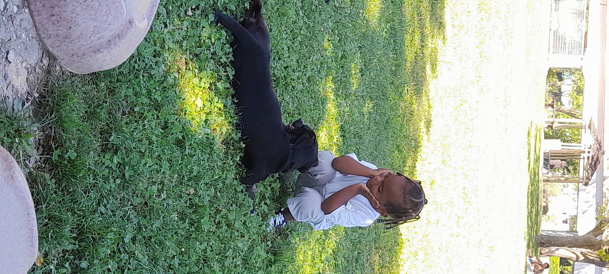 Tyrese participe au concours pour gagner de l'argent avec cette photo : arm, fun, grass, grass_family, green, happy, lawn, leisure, people_in_nature, person, plant, recreation, shadow, shrub, sitting, sunlight, tints_and_shades, tree