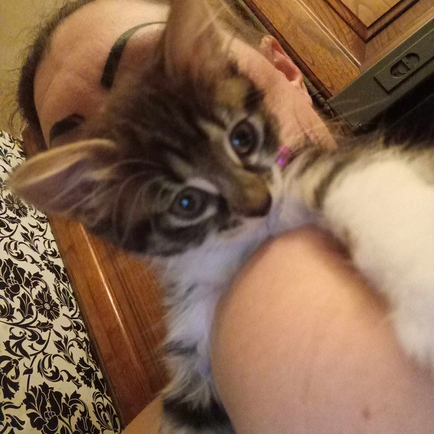 Maya