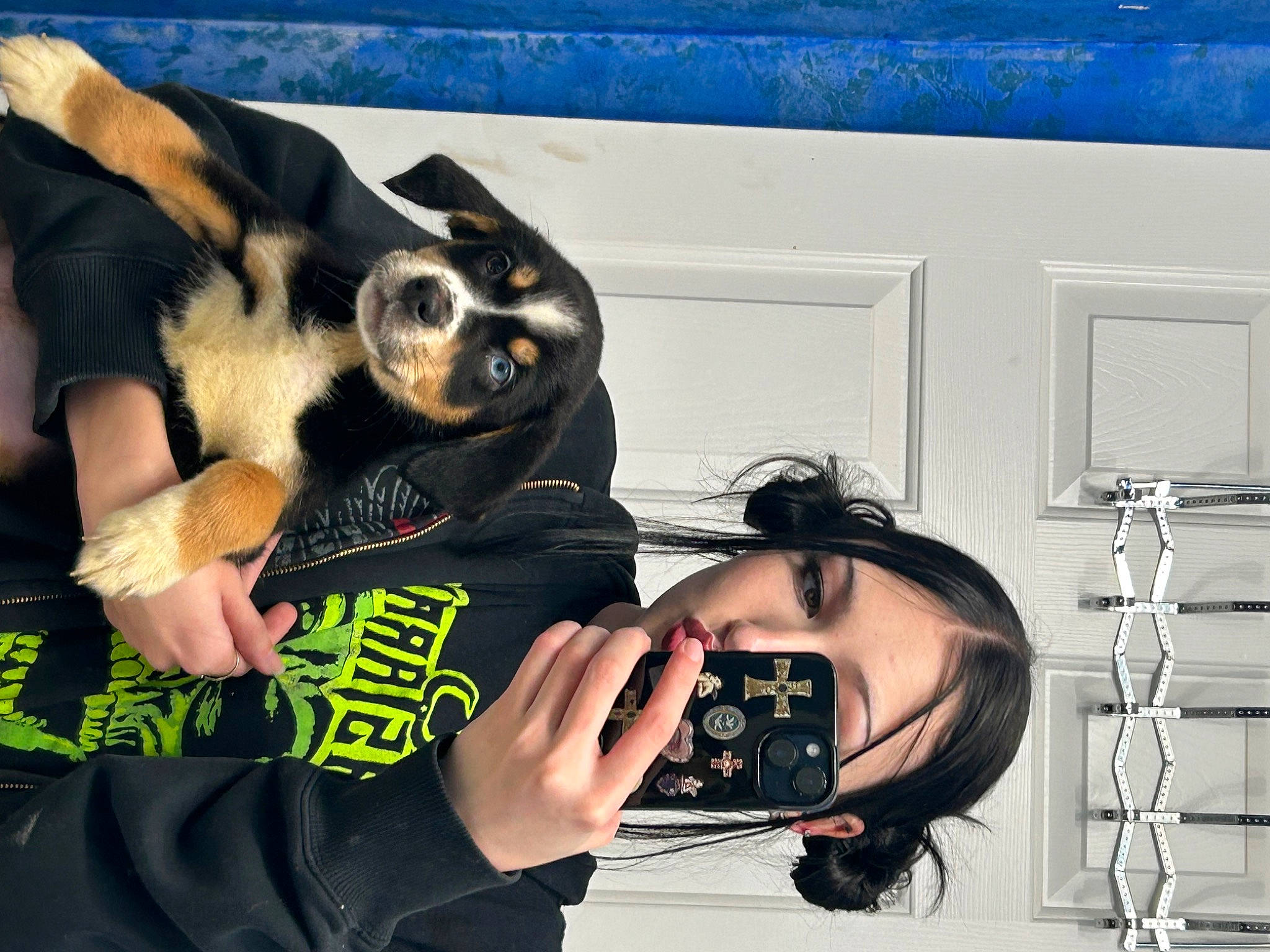 Mavis is registered to the contest to win money with this photo: audio_equipment, carnivore, companion_dog, dog_breed, eyelash, eyewear, fashion_accessory, flash_photography, fun, fur, gesture, guard_dog, hand, jewellery, mask, paw, personal_protective_equipment, sunglasses, vision_care, wrist