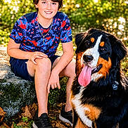 Bell joined the competition — help win amazing prizes! boy, child, dog, bernese_mountain_dog, pet, portrait, outdoor, nature, forest, trees, sunlight, smiling, seated, shorts, t_shirt, sneakers, long_tongue, floppy_ears, fallen_leaves, companion