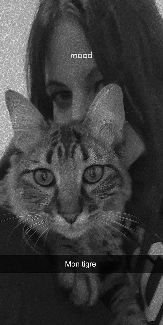 Balthazar a rejoint le concours — aidez-le/la à gagner de superbes lots ! black_and_white, carnivore, cat, darkness, domestic_short_haired_cat, ear, felidae, font, fur, monochrome, monochrome_photography, photo_caption, small_to_medium_sized_cats, snout, style, terrestrial_animal, whiskers, wildlife