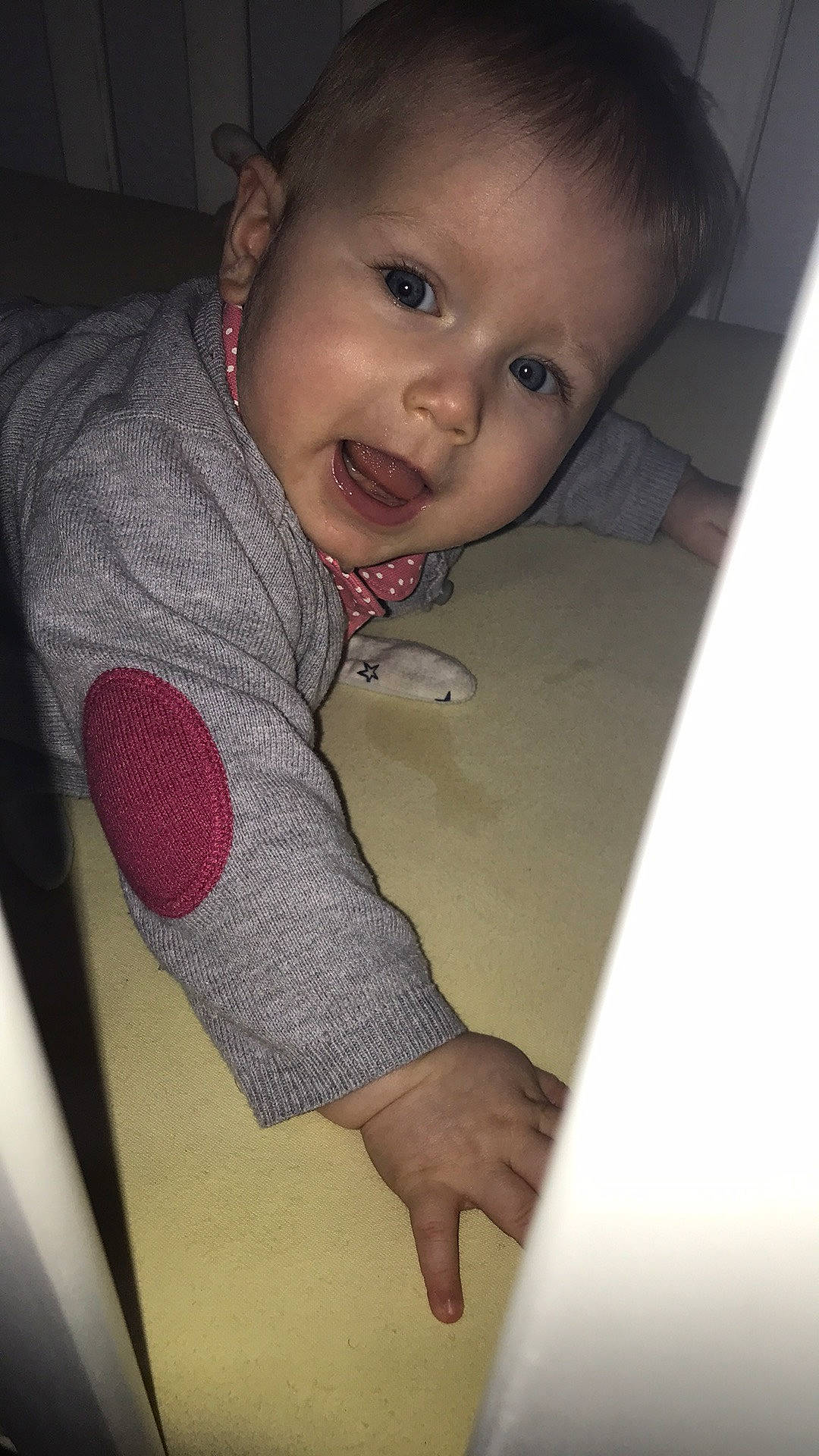 Luna participe au concours pour gagner de l'argent avec cette photo : arm, baby, cheek, child, chin, eye, eyebrow, face, forehead, fun, head, lip, mouth, nose, person, pink, skin, smile, toddler