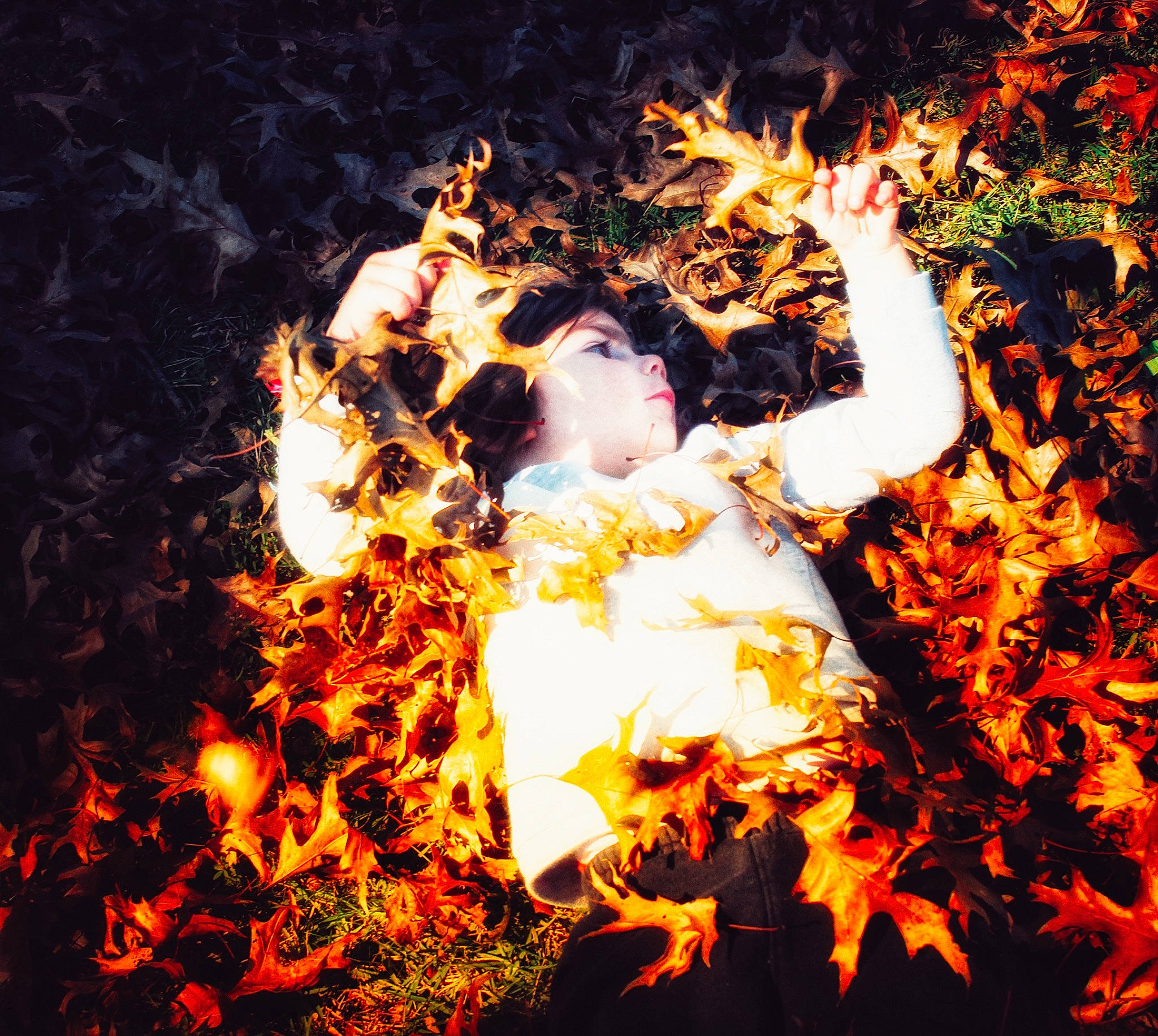 Amara is registered to the contest to win money with this photo: art, bonfire, campfire, darkness, event, fictional_character, fire, flame, flash_photography, font, gas, graphics, grass, happy, heat, illustration, night, people_in_nature, person