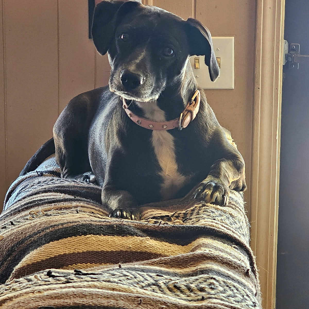Penny