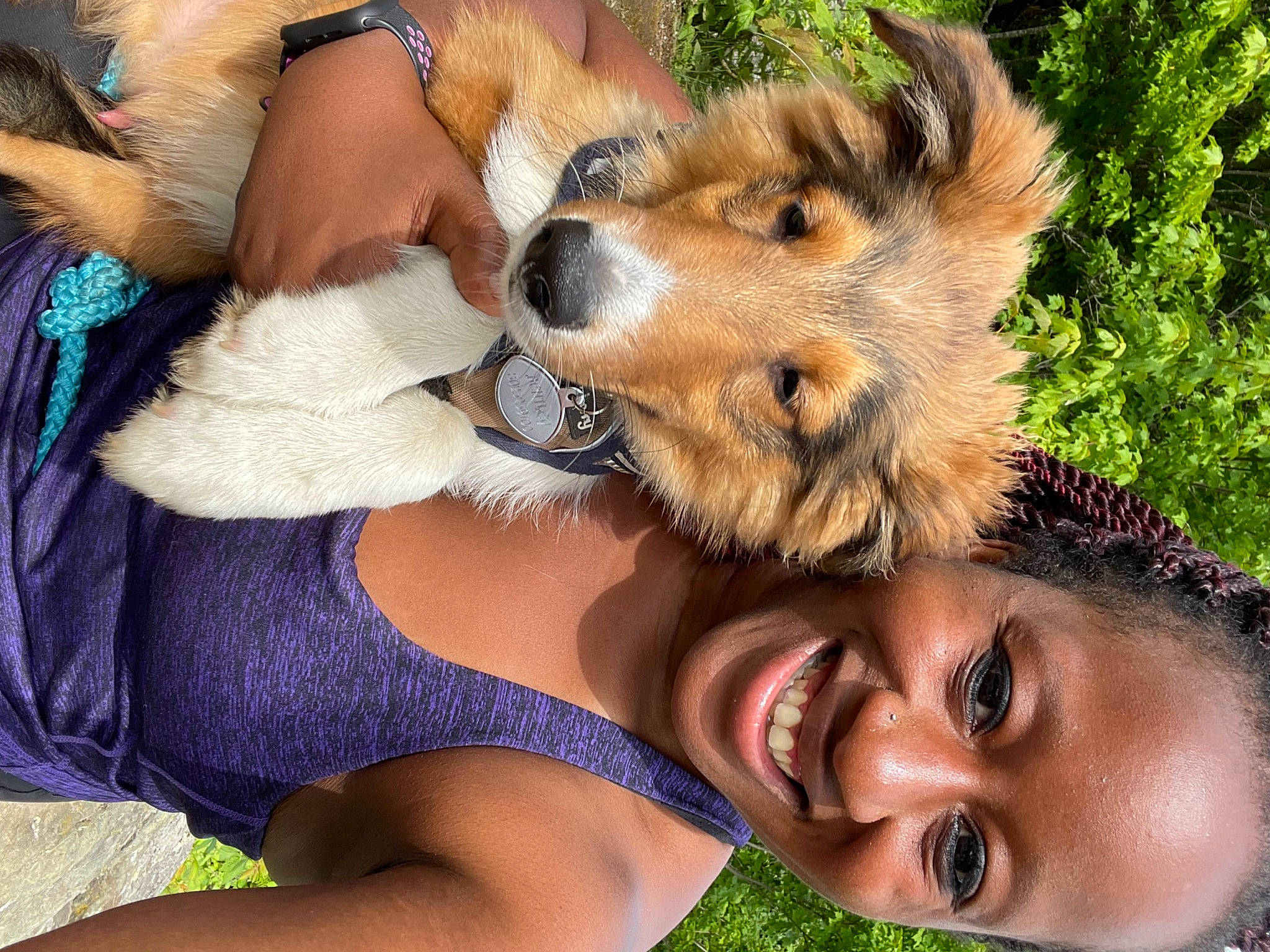 Bentley is registered to the contest to win money with this photo: carnivore, companion_dog, dog, dog_breed, event, fawn, fun, fur, grass, happy, leisure, people_in_nature, pomeranian, recreation, shetland_sheepdog, smile, spitz, sporting_group, tree, vacation
