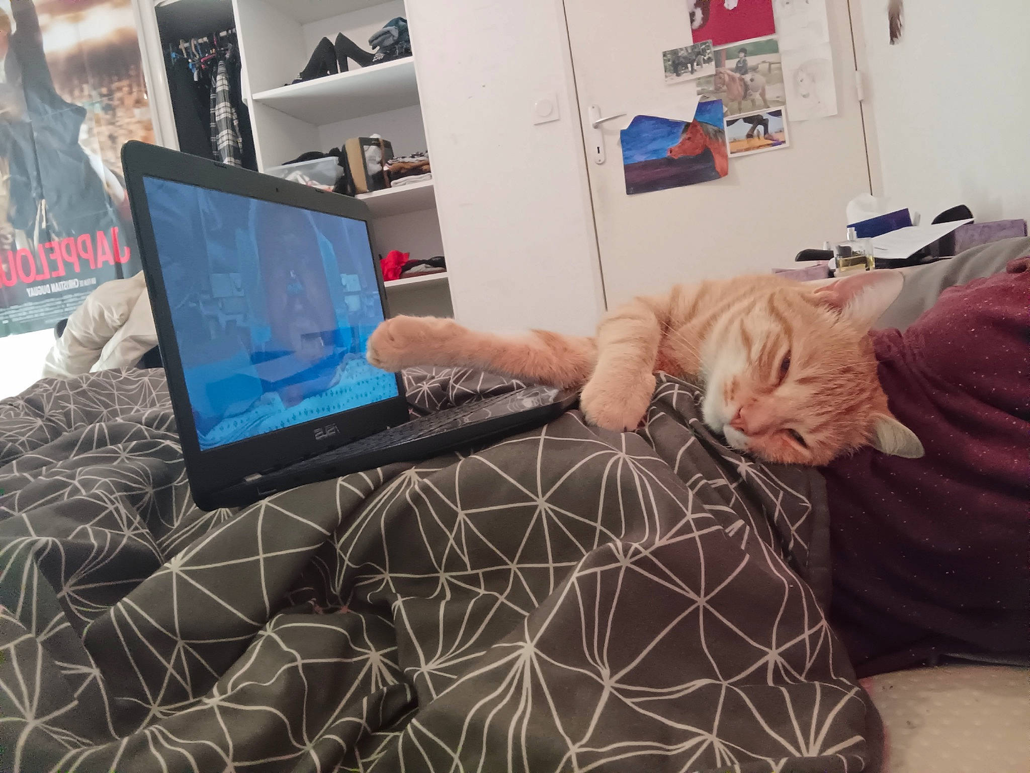 Twist participe au concours pour gagner de l'argent avec cette photo : art, comfort, communication_device, computer, display_device, electric_blue, electronic_device, finger, flooring, gadget, gesture, laptop, output_device, personal_computer, portable_communications_device, room, tablet_computer, technology, thumb, wrist