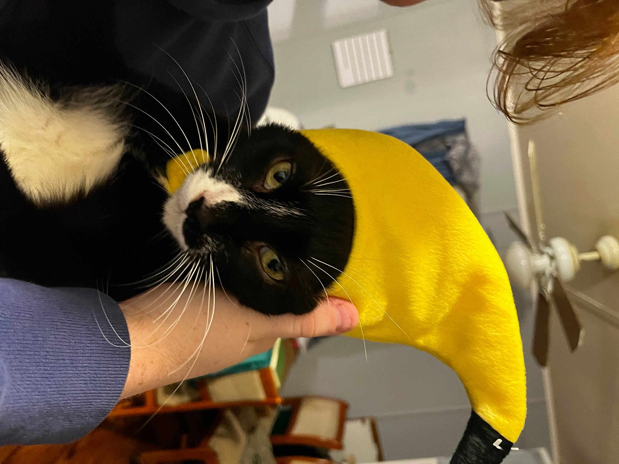 Mittens