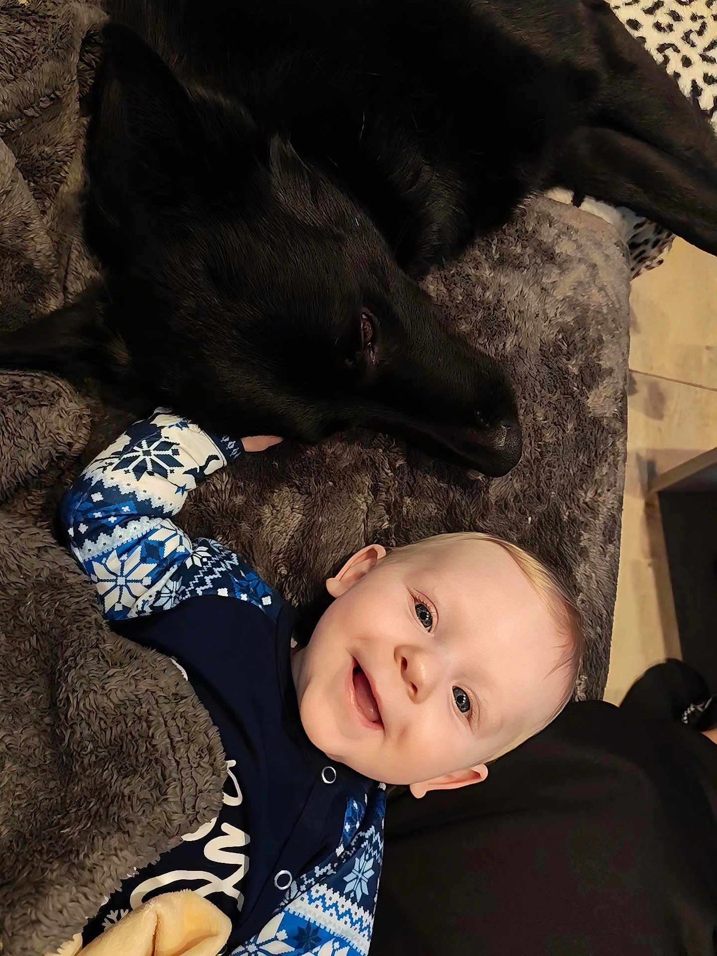 Liam participe au concours pour gagner de l'argent avec cette photo : baby, infant, smiling_baby, black_dog, dog, pet, cuddling, blanket, fur, cozy, indoors, pajamas, blue_pattern, face, portrait, lying_down, home, cute, playful, companion