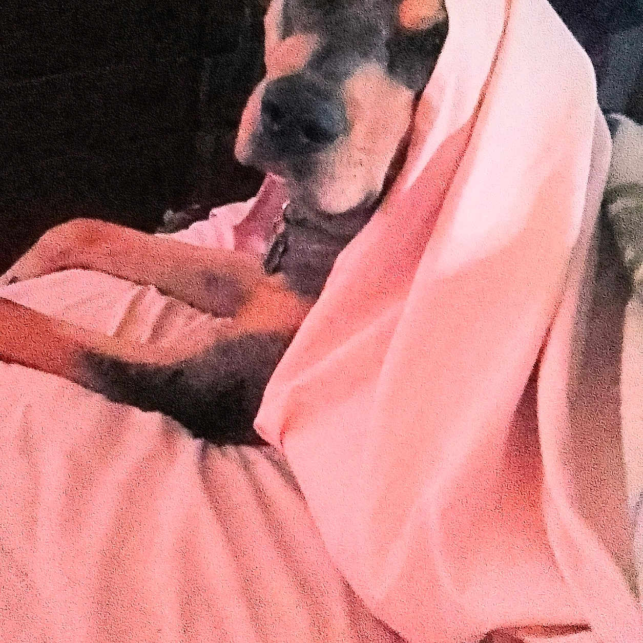Ellie