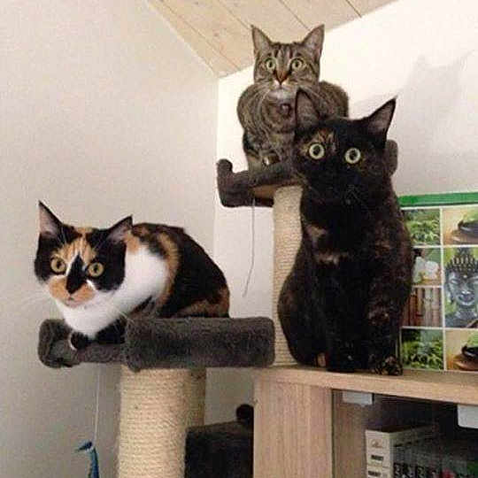 Maya participe au concours pour gagner de l'argent avec cette photo :