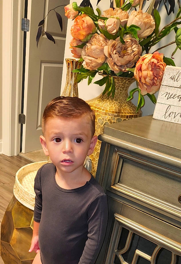 Roman joined the competition — help win amazing prizes! beauty, child, cut_flowers, door, flash_photography, flooring, floral_design, flower, flower_arranging, hybrid_tea_rose, machine, peach, person, petal, plant, room, rose, rose_family, rose_order, toddler