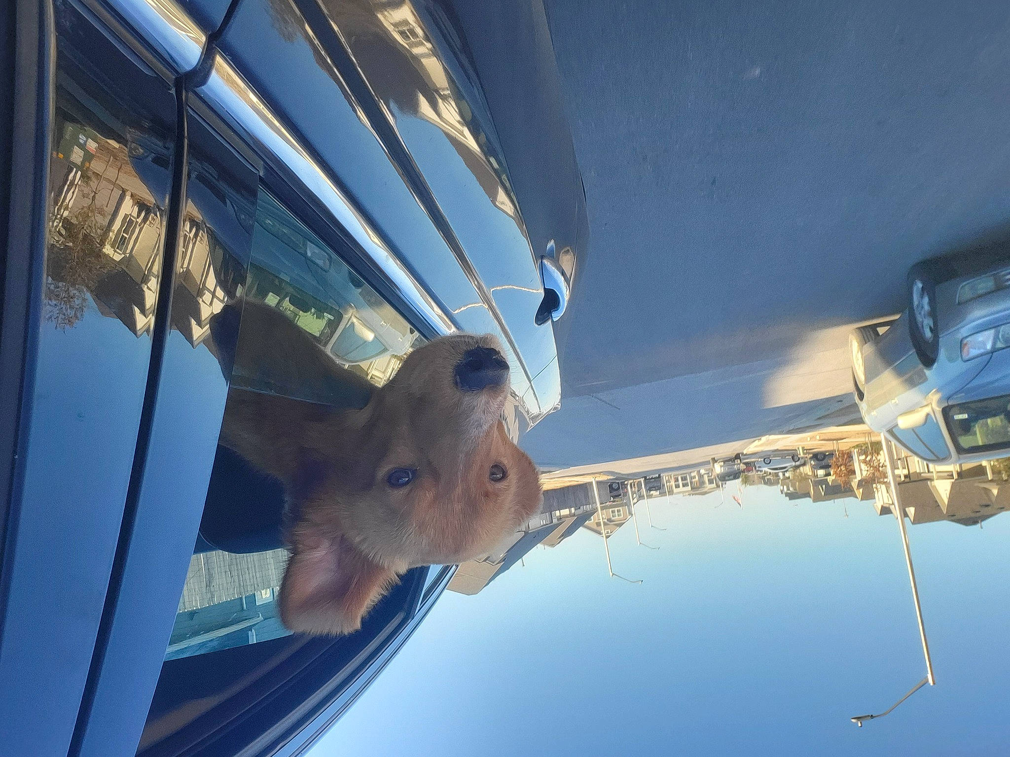 Roland is registered to the contest to win money with this photo: auto_part, automotive_design, automotive_exterior, automotive_lighting, automotive_window_part, azure, car, electric_blue, glass, hood, line, mode_of_transport, motor_vehicle, sky, sunglasses, vehicle, vehicle_door, water, window, windshield