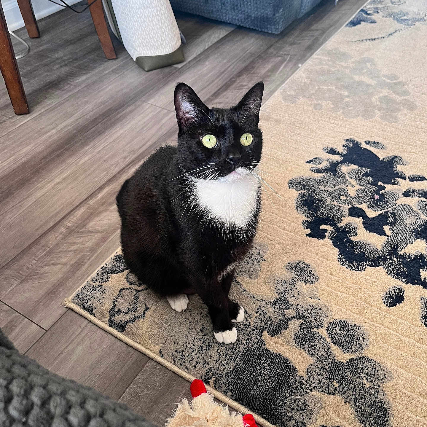 Coco