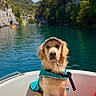dog, golden_retriever, boat, life_jacket, cap, water, lake, nature, trees, cliffs, sunny, outdoor, pet, animal, recreation, kayak, blue_sky, sport, summer, water_sport