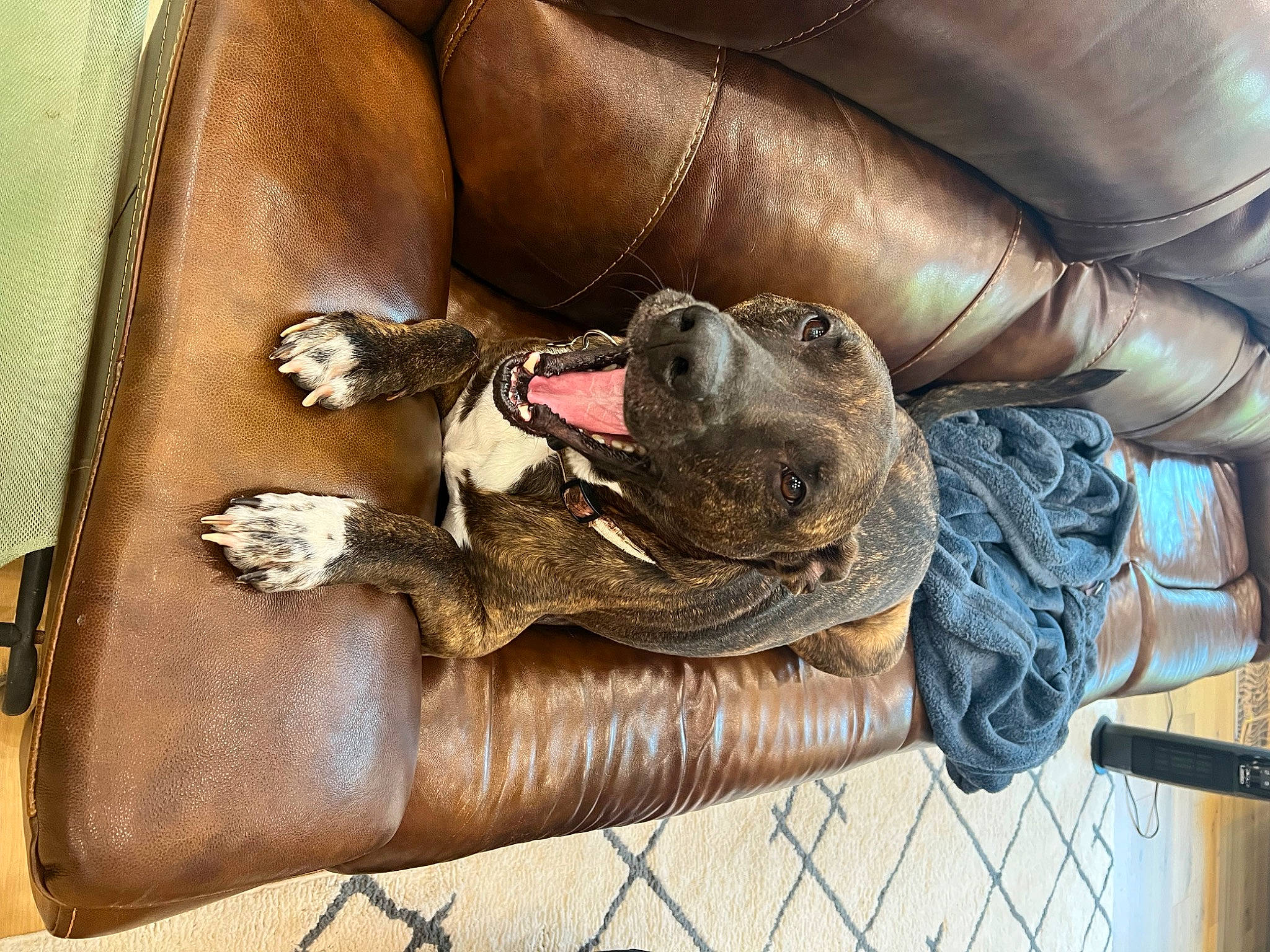 Patten is registered to the contest to win money with this photo: bag, baggage, bench, brown, chair, comfort, fashion_accessory, foot, fur, hide, human_leg, leather, leg, luggage_and_bags, metal, sandal, sitting, studio_couch, thigh, wood