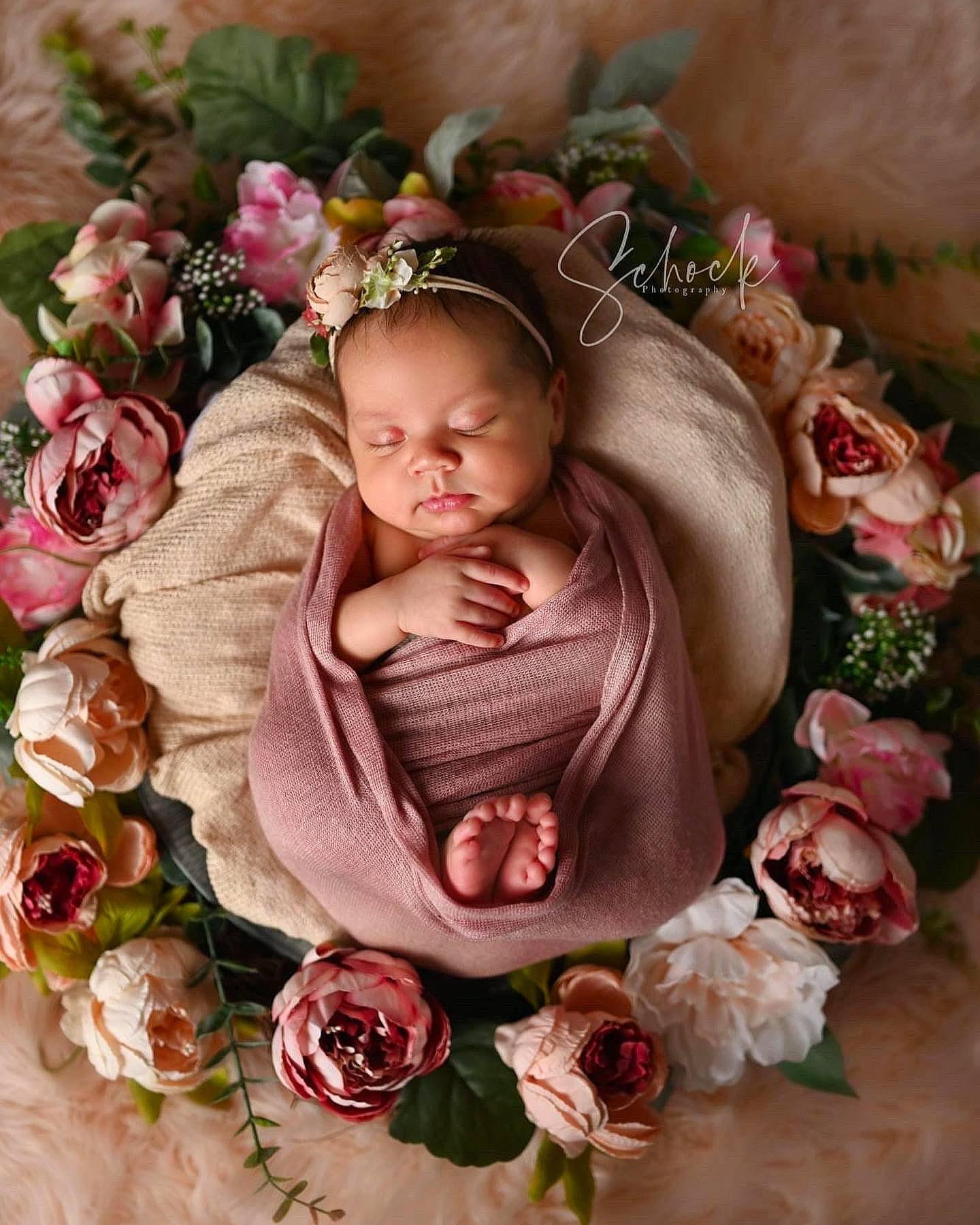 Kamaiya joined the competition — help win amazing prizes! baby, beauty, botany, bouquet, cut_flowers, floral_design, flower, flower_arranging, garden_roses, hand, headpiece, leaf, peach, person, petal, picture_frame, pink, plant, rose, rose_family