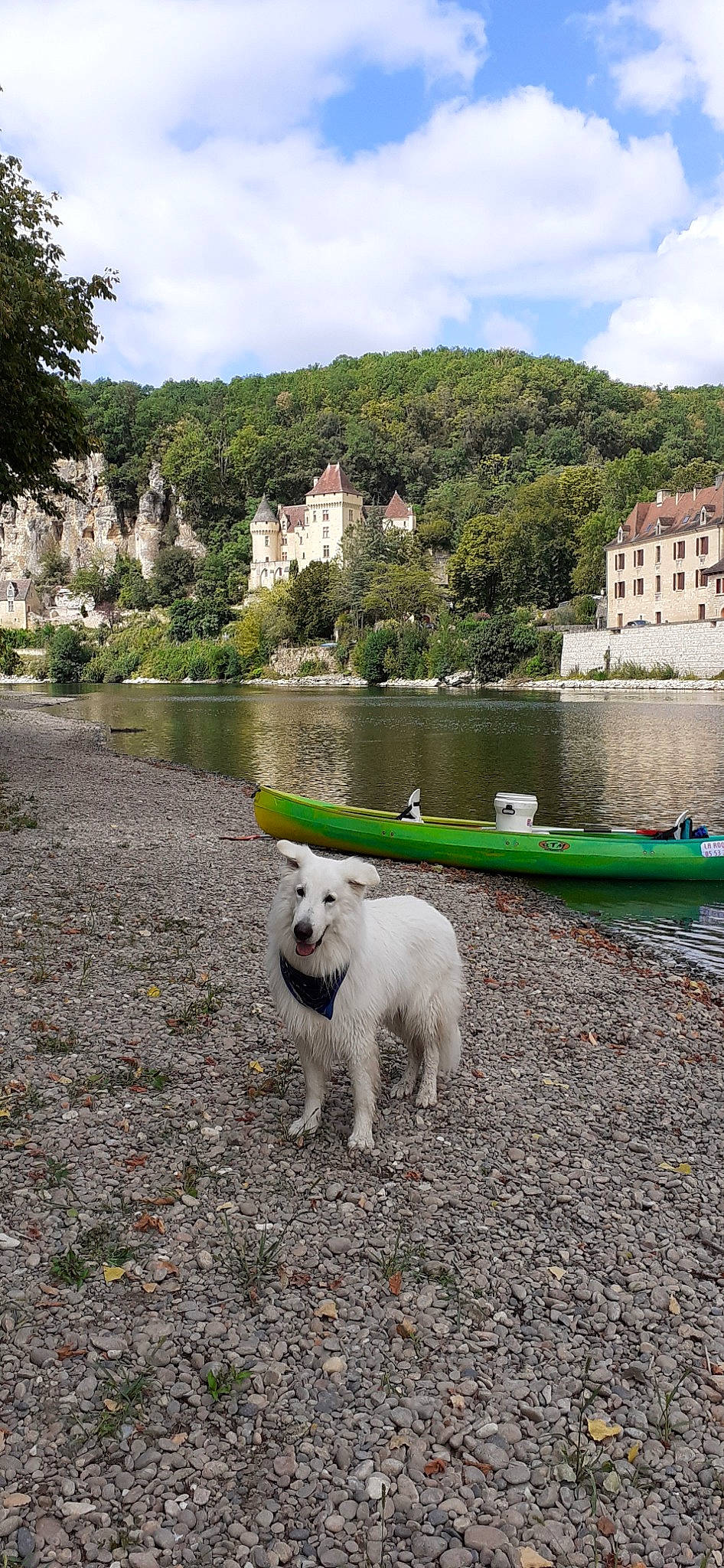 Jingka participe au concours pour gagner de l'argent avec cette photo : berger_blanc_suisse, canidae, carnivore, dog, dog_breed, kintamani, lake, mountain, non_sporting_group, river, sky, sporting_group, terrain, west_highland_white_terrier, white_shepherd