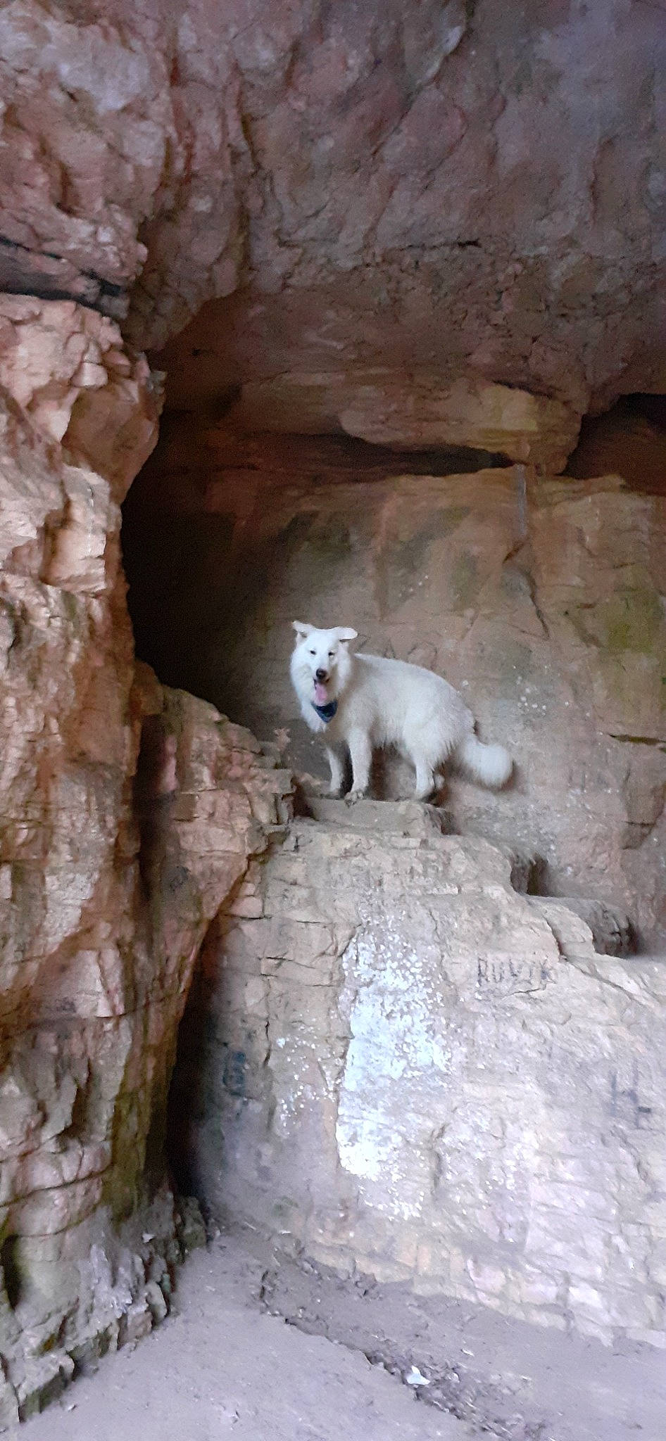 Jingka a rejoint le concours — aidez-le/la à gagner de superbes lots ! rock, wildlife