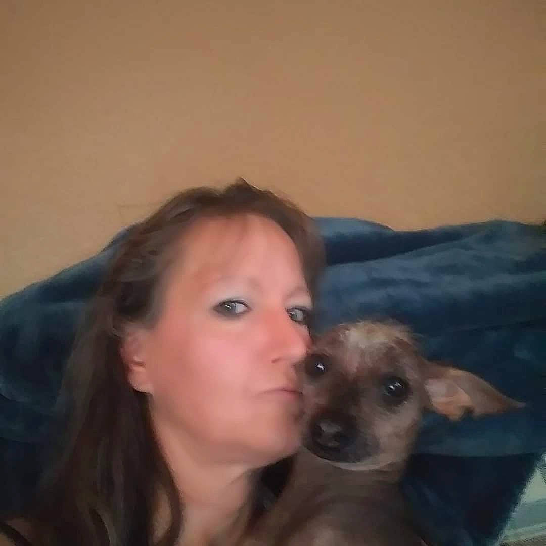 Dobbie joined the competition — help win amazing prizes! canidae, carnivore, comfort, companion_dog, dog, dog_breed, ear, eyelash, fawn, fur, gesture, happy, jaw, nose, selfie, sitting, snout, sporting_group, throat, whiskers