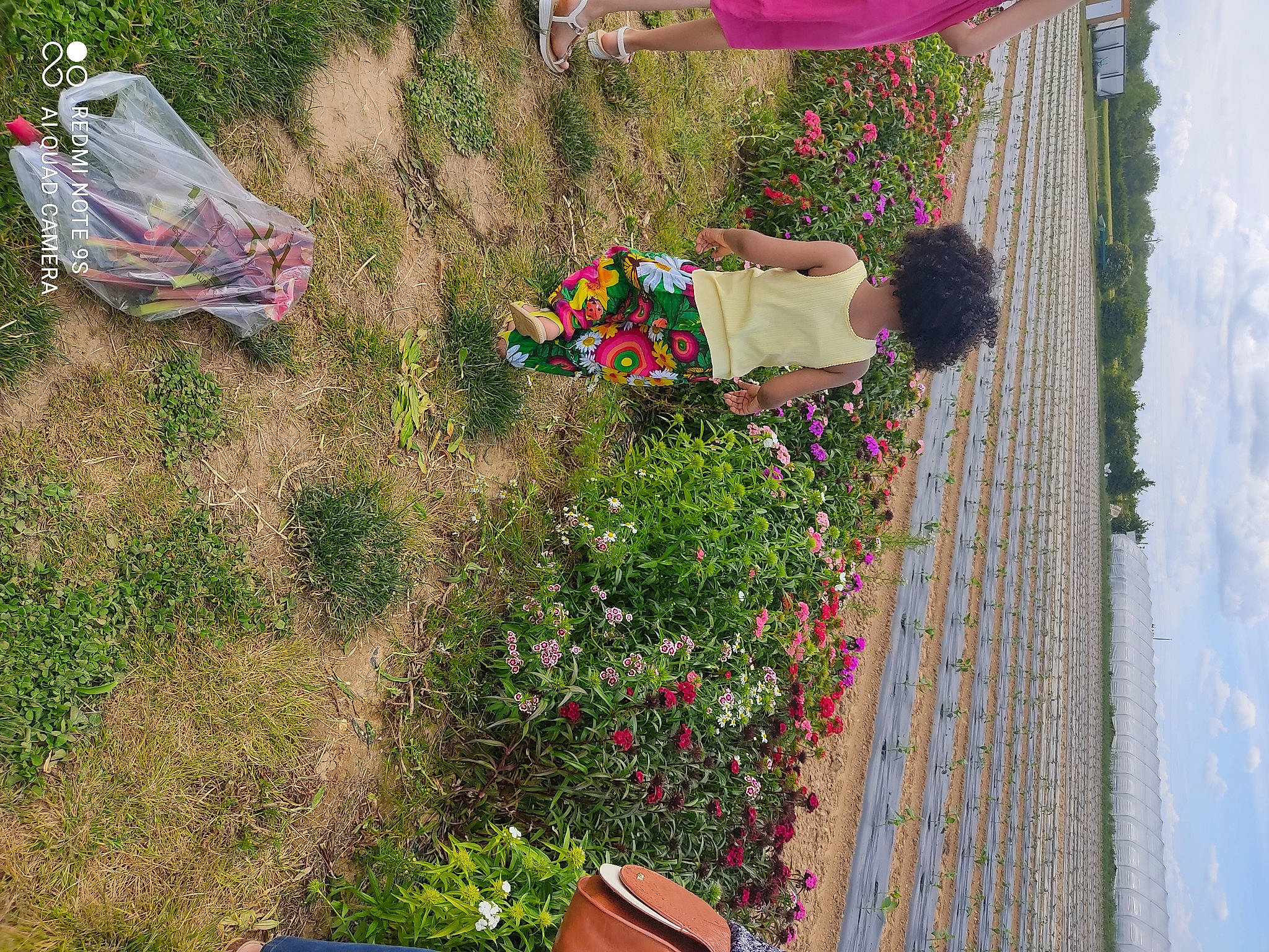 Tiana participe au concours pour gagner de l'argent avec cette photo : botany, cloud, flower, flowerpot, fun, garden, grass, green, groundcover, landscape, leisure, line, pattern, people_in_nature, person, plant, shrub, sky, soil, vegetation