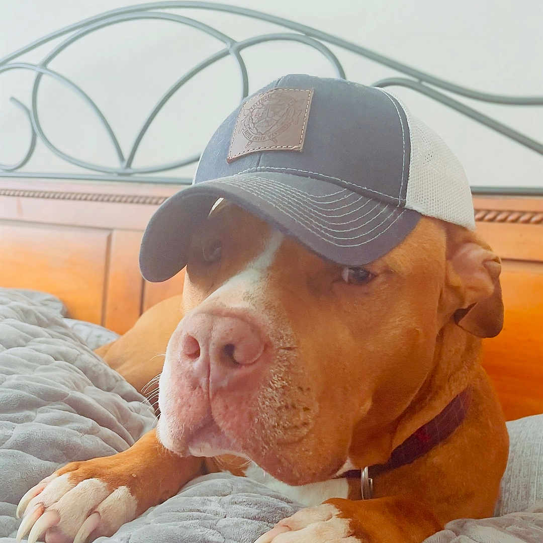 Jax