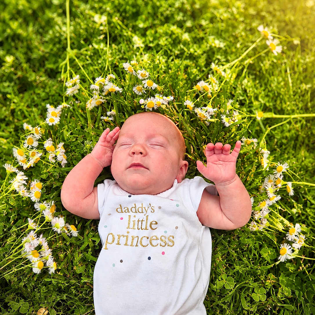 Alice is registered to the contest to win money with this photo: baby, infant, grass, daisies, flowers, nature, outdoor, onesie, sleeping, peaceful, greenery, sunlight, child, cute, portrait, resting, flora, head, hands, summer
