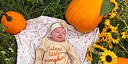 Kennedy is registered to the contest to win money with this photo: baby, newborn, blanket, pumpkin, sunflower, flower, greenery, outdoor, nature, infant, plants, cute, sleeping, autumn, fall, headband, soft, peaceful, child, garden