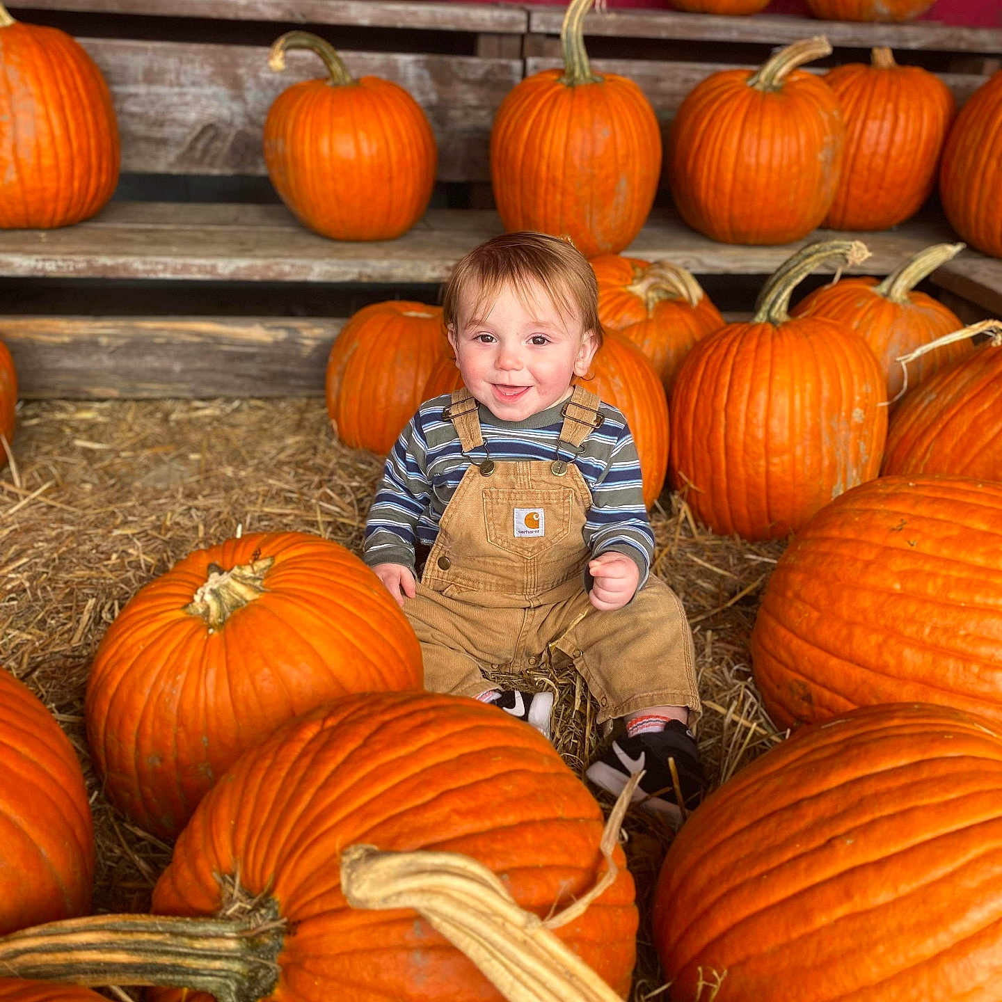 Kyson joined the competition — help win amazing prizes! baby, clothing, coat, face, food, footwear, head, jacket, leaf, pants, person, photography, plant, portrait, produce, pumpkin, shoe, sitting, squash, vegetable