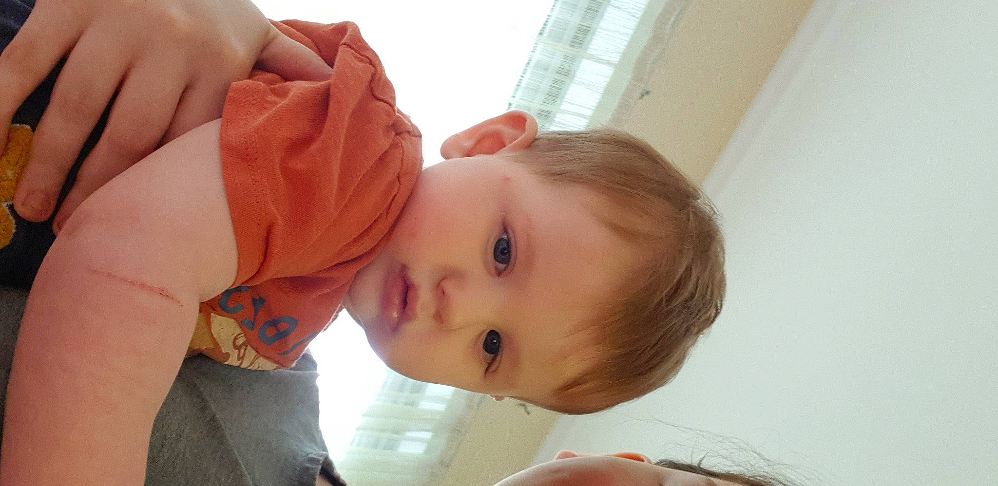 Victor participe au concours pour gagner de l'argent avec cette photo : baby, baby_toddler_clothing, cheek, child, ear, eyelash, finger, fun, happy, hat, lip, nail, nose, person, skin, toddler, window, wood